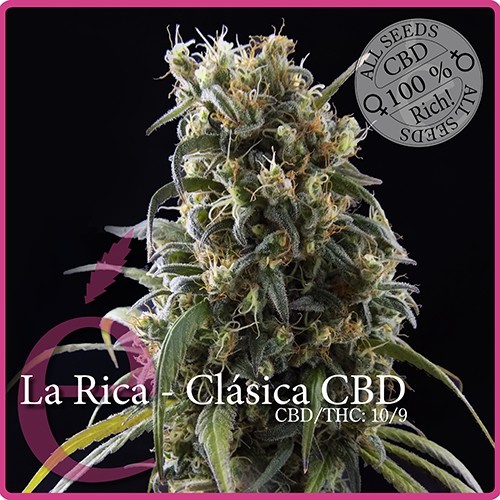 comprar semillas la rica clasica
