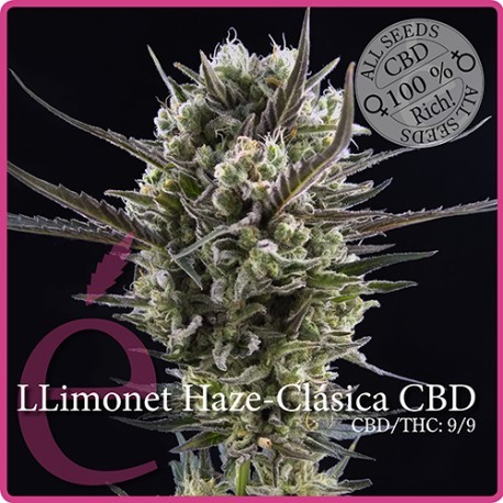 comprar semillas llimonet haze