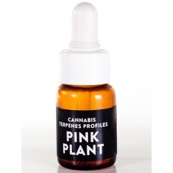 CALI TERPENOS CANNABIS PINK PLANT