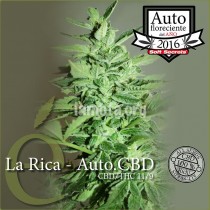 comprar la rica autofloracion