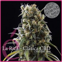 comprar semillas la rica clasica