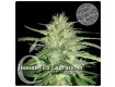 comprar semillas juanita la lagrimosa