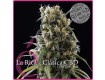 comprar semillas la rica clasica