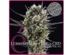 comprar semillas llimonet haze