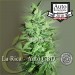 comprar la rica autofloracion
