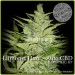 comprar llimonet haze auto
