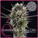 comprar semillas llimonet haze